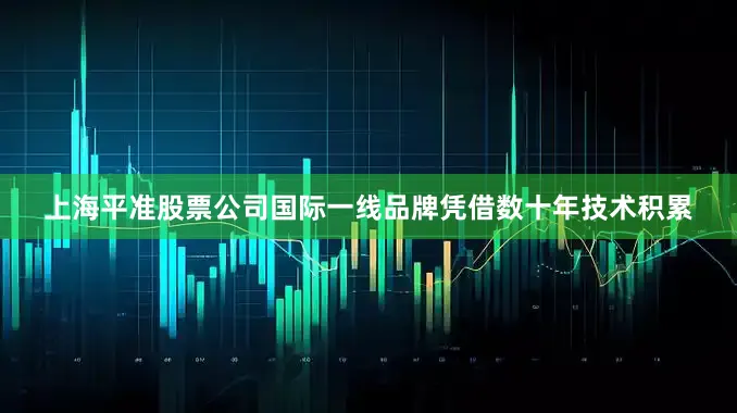 上海平准股票公司国际一线品牌凭借数十年技术积累